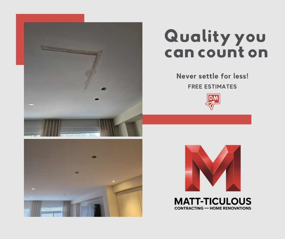 Professional Ceiling Restoration